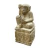 Stone monkey statue
