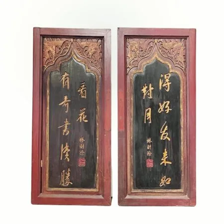 A Pair of Vintage Fujian Cabinet Doors