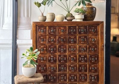 Chinese antique elmwood medicine cabinet with handwritten herb names on drawers, from Shanxi