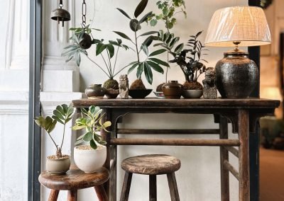 Chinese antique elmwood wine table with two round stools, and decorated with small green plants and old pot table lamp