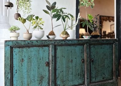 Chinese antique furniture, distressed aqua Shanxi 3-door sideboard with small green plants