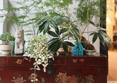 Chinese antique painted chest