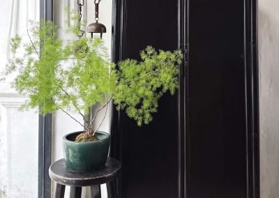 Chinese antique ming-style tapered cabinet with round legs